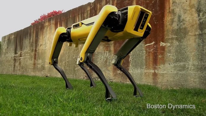 Spot Mini robot Boston Dynamics (1)