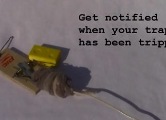 Probleme cu şoriceii? Acum capcanele de şoareci devin inteligente, cu un accesoriu wireless