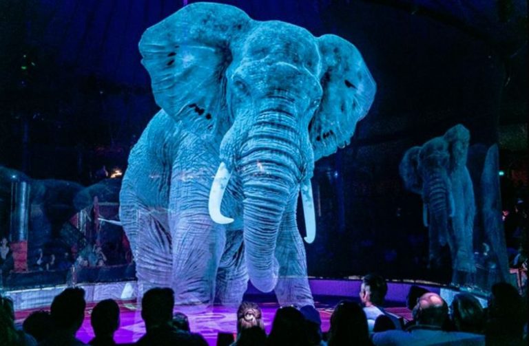 Idee genială la nemţi: animale de circ înlocuit cu holograme (Video)