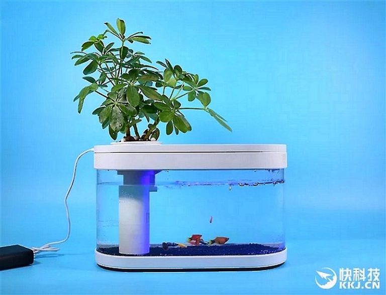 Xiaomi a lansat un acvariu alimentat de power bank, Xiaomi Fish Tank; Iată cât costă