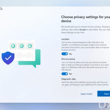 Windows-11_06_oobe_privacy_result